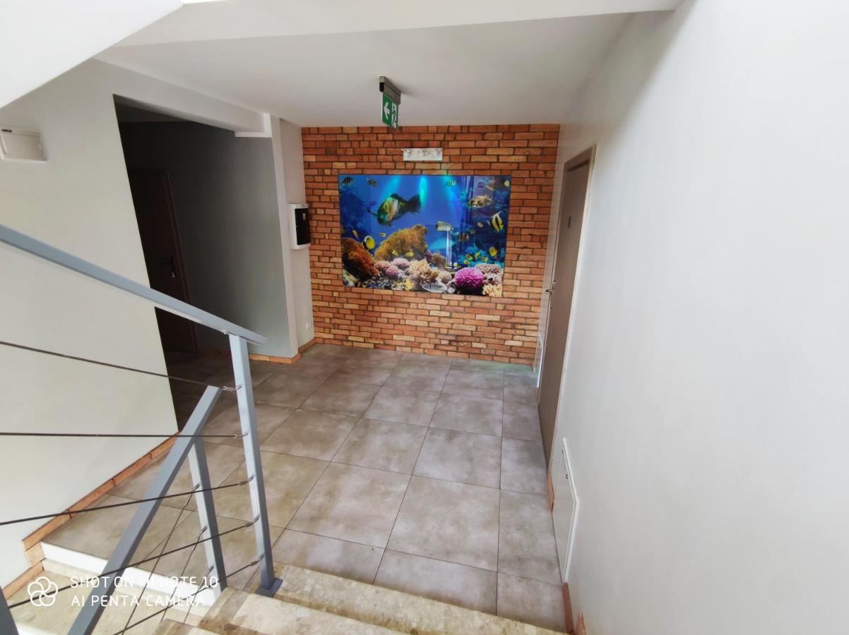 Pokoje Goscinne Pod Kasztanami Łeba Esterno foto